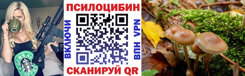 Галлюциногенные грибы Cubensis  mega как войти  Лысково 